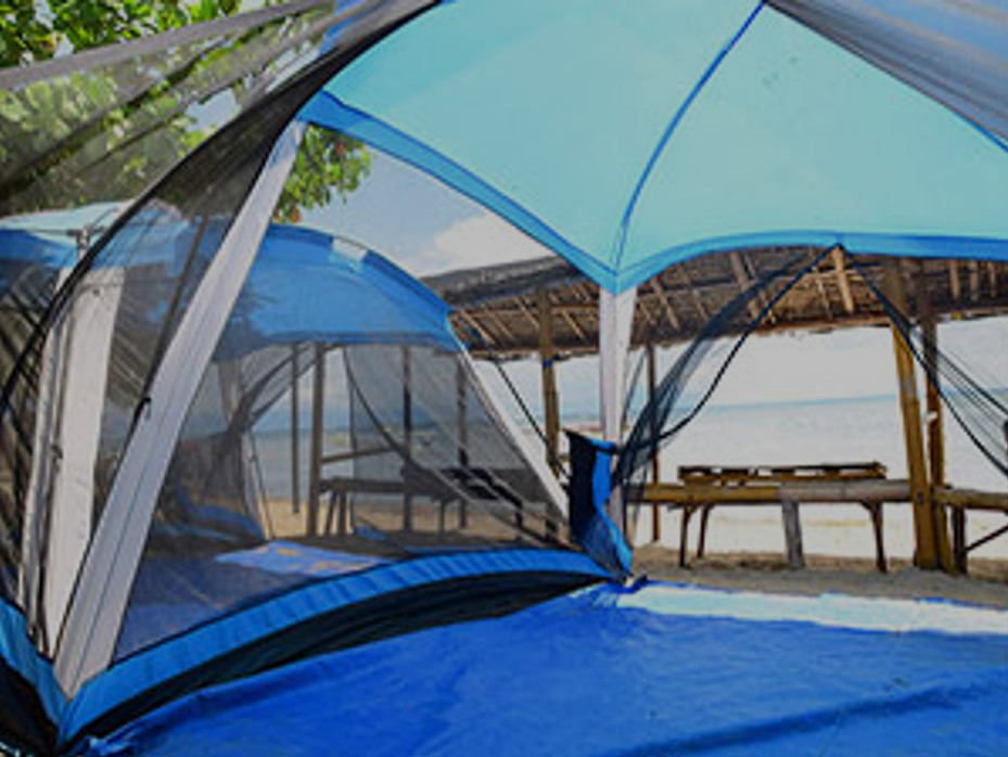 Large Tent 1